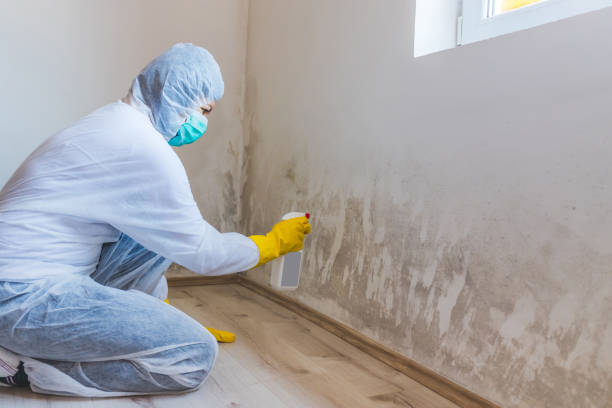 Hvac And Air Duct Mold Remediation inspection of HVAC system in Three Springs