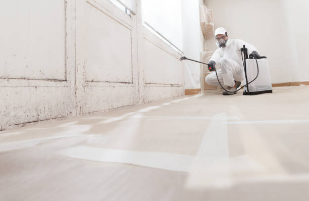 Black mold remediation team in Three Springs